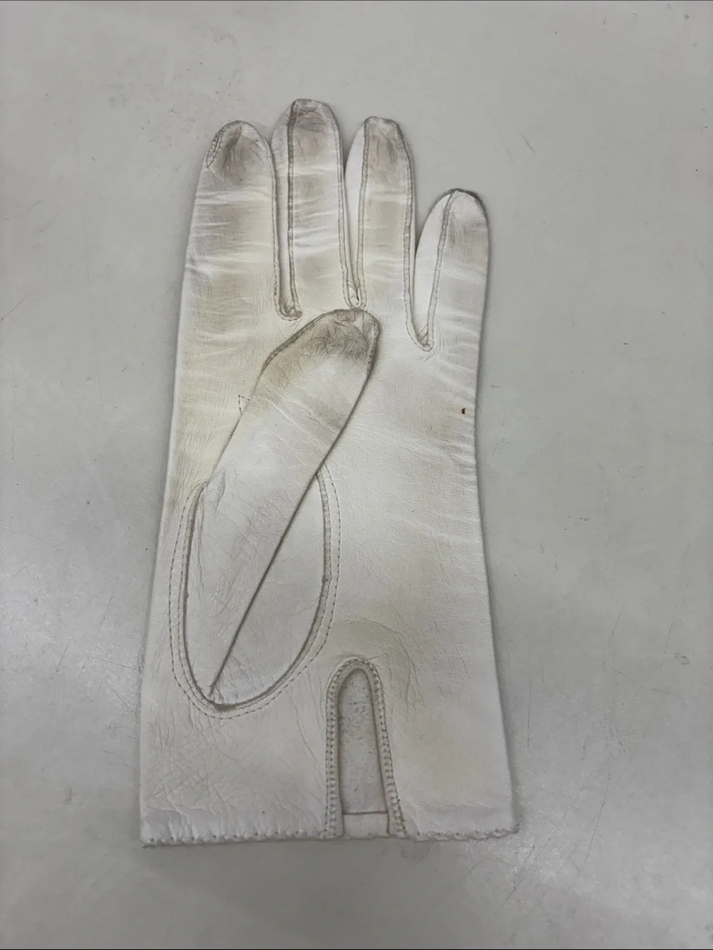 Aris White Women's Dress Gloves with Floral Embroidery
